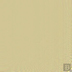 Bertrand.pt - Nelson Spelling Pupil Book 2 Year 2/P3 (Yellow Level)