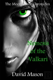 Nemesis Of The Valkari
