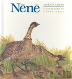 Bertrand.pt - Nene