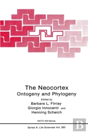 Neocortex
