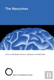 Neocortex