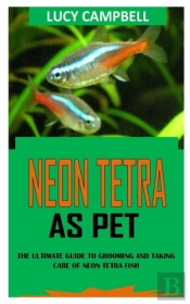 Neon Tetra As Pet