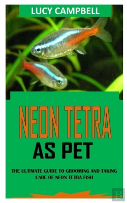 Bertrand.pt - Neon Tetra As Pet