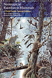 Neotropical Rainforest Mammals