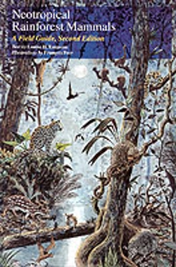 Bertrand.pt - Neotropical Rainforest Mammals
