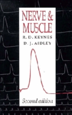 Bertrand.pt - Nerve And Muscle