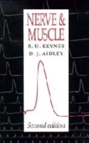 Nerve And Muscle