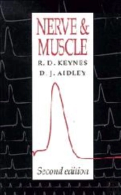 Bertrand.pt - Nerve And Muscle
