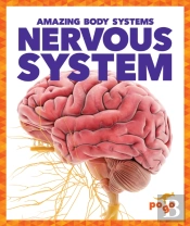 Nervous System