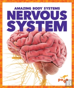 Bertrand.pt - Nervous System