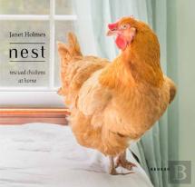Nest