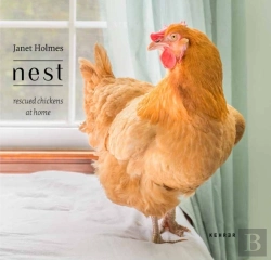 Bertrand.pt - Nest
