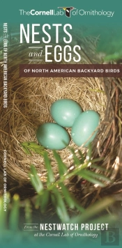 Nests And Eggs Of North American Backyard Birds