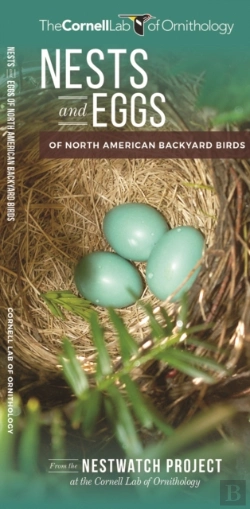 Bertrand.pt - Nests And Eggs Of North American Backyard Birds