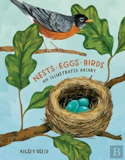 Bertrand.pt - Nests, Eggs, Birds
