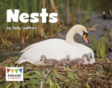 Nests