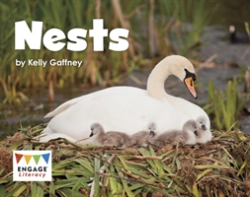 Bertrand.pt - Nests