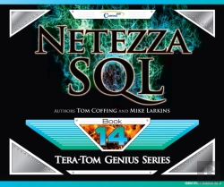 Bertrand.pt - Netezza Sql