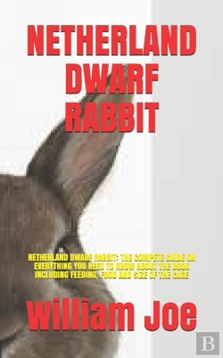 Bertrand.pt - Netherland Dwarf Rabbit