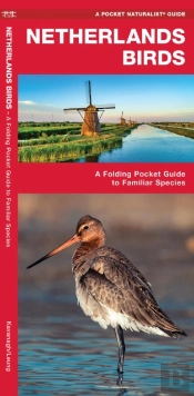 Netherlands Birds