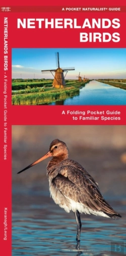 Bertrand.pt - Netherlands Birds