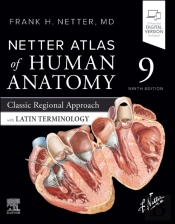 Netter Atlas Of Human Anatomy: Classic Regional Approach With Latin Terminology