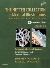 Netter Collection Of Medical Illustrations: Musculoskeletal System, Volume 6, Part Iii - Musculoskeletal Biology And Systematic Musculoskeletal Disease E-Book