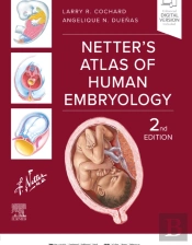 Netter'S Atlas Of Human Embryology - E-Book