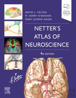 Bertrand.pt - Netter'S Atlas Of Neuroscience