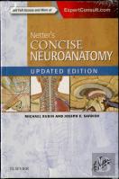 Netter'S Concise Neuroanatomy Updated Edition