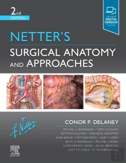 Bertrand.pt - Netter'S Surgical Anatomy And Approaches