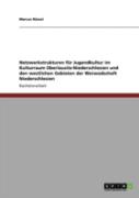 Netzwerkstrukturen Far Jugendkultur Im Kulturraum Oberlausitz-Niederschlesien Und Den Westlichen Gebieten Der Woiwodschaft Niederschlesien