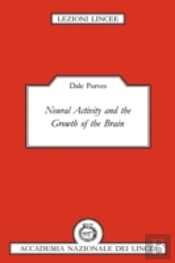 Neural Activity And The Growth Of The Brain