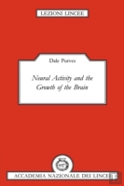 Bertrand.pt - Neural Activity And The Growth Of The Brain