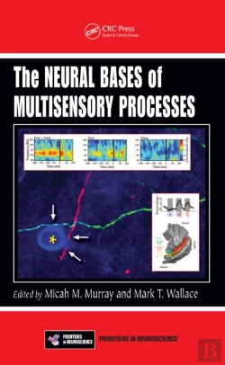 Bertrand.pt - Neural Bases Of Multisensory Processes