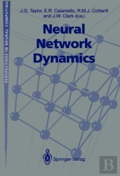 Neural Network Dynamics