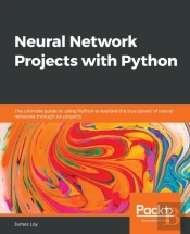 Neural Network Projects With Python