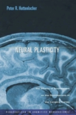 Bertrand.pt - Neural Plasticity
