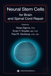 Neural Stem Cells For Brain And Spinal Cord Repair