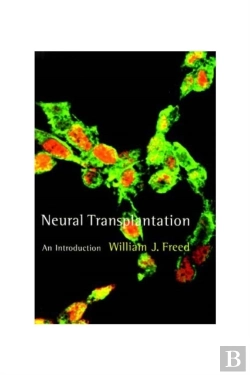 Bertrand.pt - Neural Transplantation