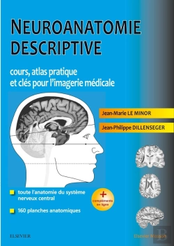 Bertrand.pt - Neuroanatomie Descriptive ; Bases Morphologiques Et Clés Pour L'Imagerie Médicale