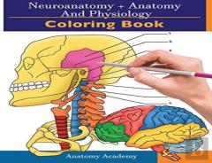 Neuroanatomy + Anatomy And Physiology Coloring Book