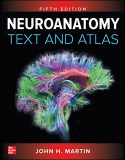 Bertrand.pt - Neuroanatomy Text And Atlas, Fifth Edition