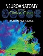 Neuroanatomy Through Clinical Cases