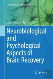 Neurobiological And Psychological Aspects Of Brain Recovery