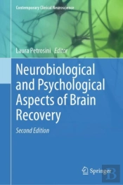 Neurobiological And Psychological Aspects Of Brain Recovery