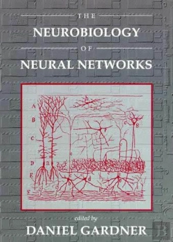 Bertrand.pt - Neurobiology Of Neural Networks