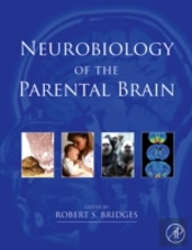 Neurobiology Of The Parental Brain