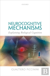 Neurocognitive Mechanisms