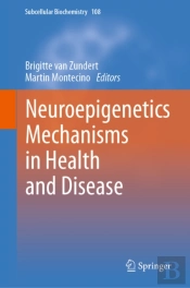 Neuroepigenetics Mechanisms In Health And Disease